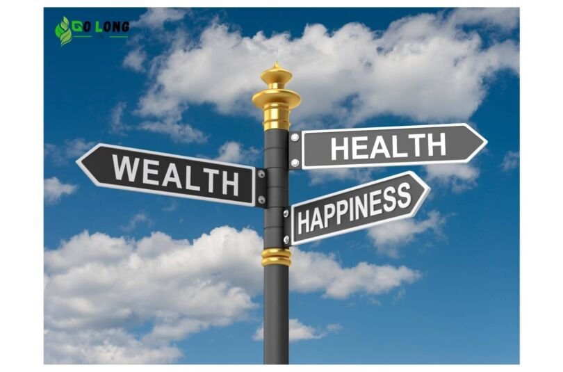 Unravelling Health Philosophy A Tapestry of Well-being