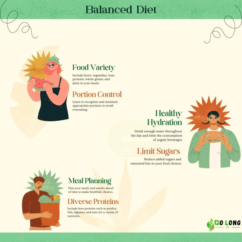 Balanced Diet Balanced Meal Plan