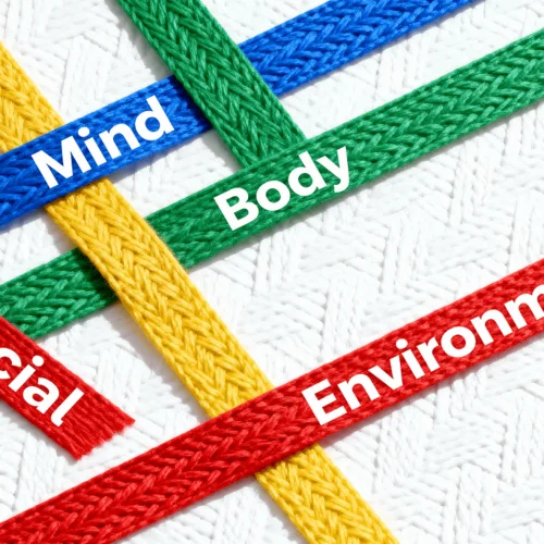 Tapestry of well-being showing four colored threads for mind, body, social, environment