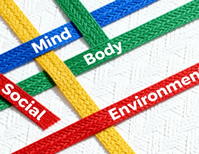Tapestry of well-being showing four colored threads for mind, body, social, environment